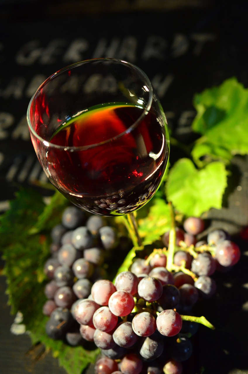 wine glass, grapes, red wine, red grapes, lighting mood, still life, grapevine, wine, fall, blue grapes, red grape, enjoyment, red wine, wine, wine, wine, wine, wine